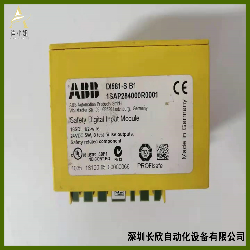 ABB  DI581-S   1SAP284000R0001